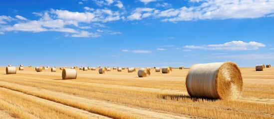 Poster - Summer field road straw bolts. Creative banner. Copyspace image