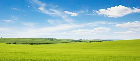Poster - Blue sky over a farm field. Creative banner. Copyspace image