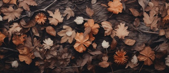 Poster - fallen leaves that have dried brown in color in the photo in the flower garden. Creative banner. Copyspace image