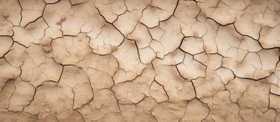 Wall Mural - Cracked earth texture background Dry soil. Creative banner. Copyspace image