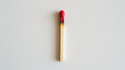 Poster - Matchstick displayed against a white backdrop