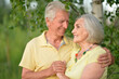 © aletia2011 - Loving mature couple in the park in summer