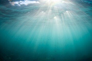 Wall Mural - Beautiful sun beam underwater in the ocean.