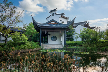 Wall Mural - Traditional Chinese Garden with Serene Pond