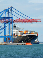 Wall Mural - Container ship under port crane