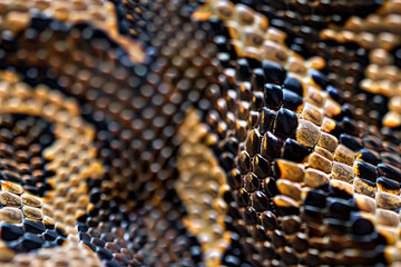 Wall Mural - close up of a repeatable seamless snake reptile skin background texture