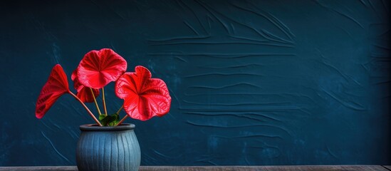 Poster - red taro flower on a black pot on a hot day. Creative banner. Copyspace image