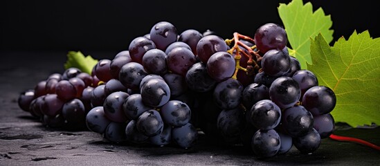 Wall Mural - Ripe harvested black grapes. Creative banner. Copyspace image