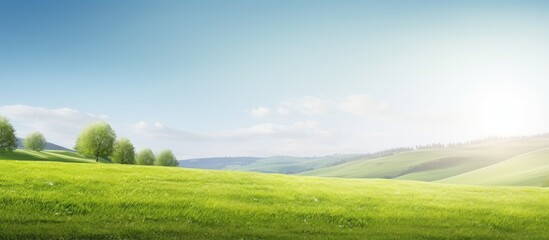 Aufkleber - Beautiful morning grass Nature. Creative banner. Copyspace image