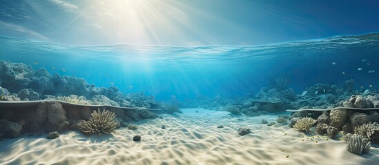 Poster - Sandy sea bottom Underwater background. Creative banner. Copyspace image