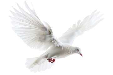 Sticker - A white bird soars through the air with its wings spread, ready to take off