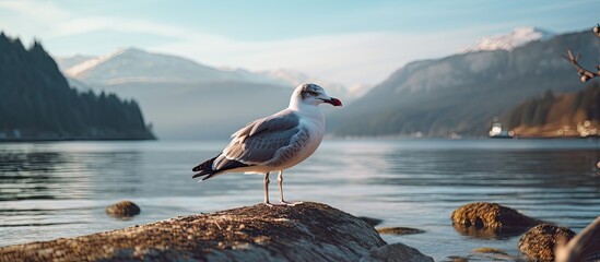 Poster - Portrait of Seagull with amazing wing position and click. Creative banner. Copyspace image