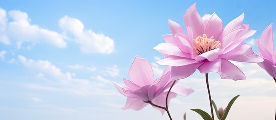 Poster - Nyctaginaceae Paper Flower with pink purple color and the sky in the background. Creative banner. Copyspace image