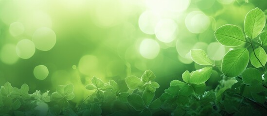 Aufkleber - Abstract Background Green Nature. Creative banner. Copyspace image