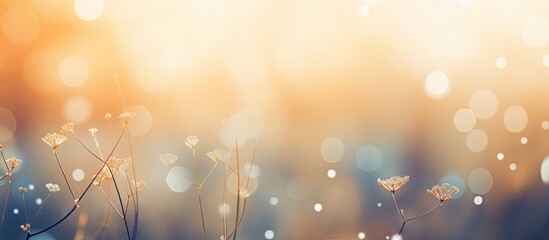 Defocus of Nature bokeh blurred background. Creative banner. Copyspace image