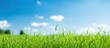 © HN Works - beautiful green grass after moving at sunny day nature background. Creative banner. Copyspace image
