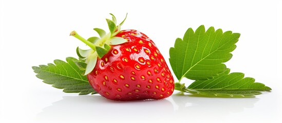 Poster - Fresh juicy strawberries with leaves Strawberry. Creative banner. Copyspace image
