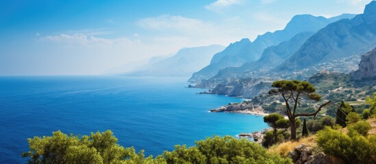 Poster - Beautiful view of mountains with trees under blue sky at sunny day on the coast of Mediterranean Sea. Creative banner. Copyspace image
