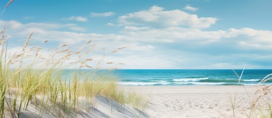 Poster - Dunes on the beach. Creative banner. Copyspace image