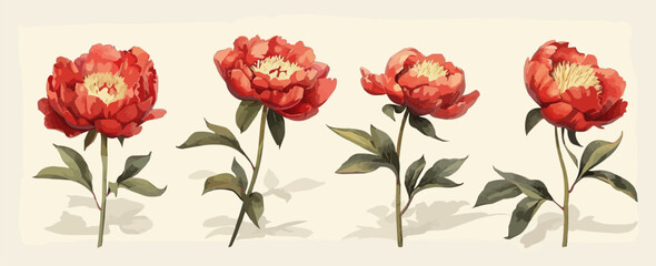 Wall Mural - Wilted peony flowers on beige isolated background. vector simple illustration