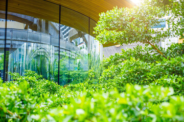 Green city, Modern glass building with Park Green tree. Urban office clean air ozone and saving energy.