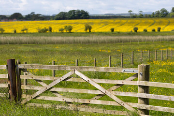 wind farm in the countryside