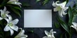 © Anastasiia - Top-down view condolence card with white lilies and empty space for pictures. Concept Condolence Card Design, White Lilies Theme, Top-Down View, Picture Frame, Empty Space,