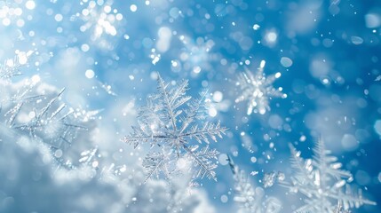 Poster - close-up view of delicate snowflakes gently falling against a clear, pastel blue sky.