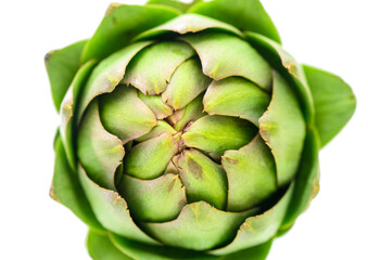 Wall Mural - A detailed close up of a green artichoke on a clean white background. Perfect for food or cooking-related projects.1