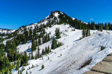 Wall Mural - Chinook Pass Snow Blanket 2