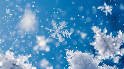 Poster - delicate white snowflakes gently falling against a clear, cerulean blue sky.