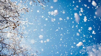 Poster - delicate white snowflakes falling gracefully against a clear, cerulean sky background, capturing the essence of a tranquil winter wonderland.