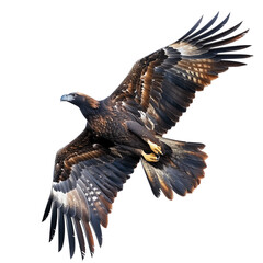 Wall Mural - A majestic eagle soaring gracefully isolated on a transparent background