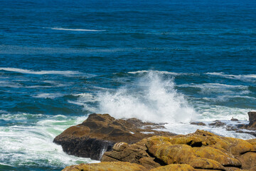 Wall Mural - Waves crashing on rocks, Oregon Coast, USA