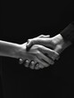 © Alexandr - Black and White Handshake