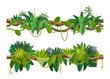 © Vector Tradition - Tropical jungle forest liana vine branch. Cartoon vector leaves and hanging roots. African rainforest tree plant thicket, spinney, forest climbing green foliage. Amazon flora lianas, tropic nature