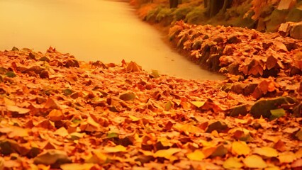 Wall Mural - A path in a forest covered in fallen leaves winds its way through the trees, A winding path covered in fallen leaves leading through a sunlit forest