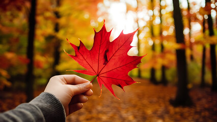 Wall Mural - hand holding autumn leaves