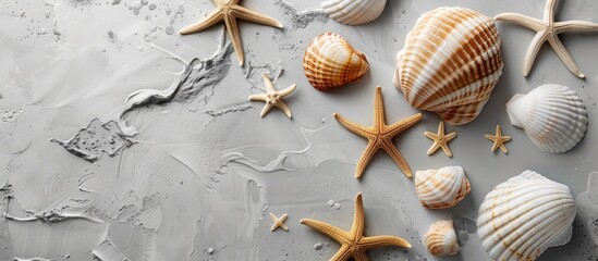 Sticker - Sea shells against a gray backdrop: A summery scene with flat lay, top view, and copy space