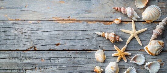 Wall Mural - Seashells on a wooden backdrop: Perfect setting for a summer seaside getaway with ample space for your message. View from above