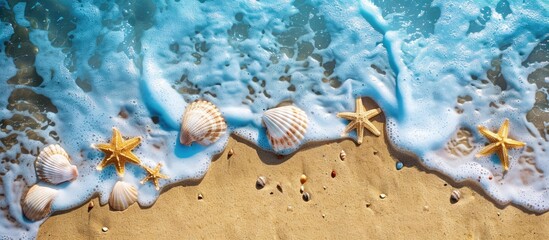 Wall Mural - Concept of summer beach or sea with seashells and starfish on sandy shore, captured from a bird's-eye perspective with room for text.