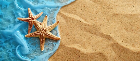 Top view of starfishes on sandy beach with summer sea concept and copy space for a banner.