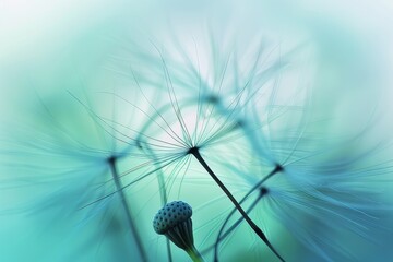 Wall Mural - Macro shot of dandelion seed against blue sky with blurred seeds, emphasizing delicate texture