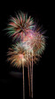 © Yulita - Night colorful fireworks on black background. Can be used as abstract background or wallpaper