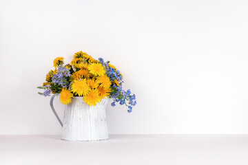 Wall Mural - Beautiful dandelion flowers in a garden watering can on a white background, Vintage composition, Copy space