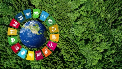 Sticker - Aerial view of nature and SDGs concept. Sustainable development goals.