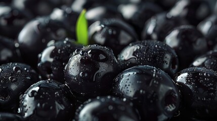 Black olives scattered, isolated background, dramatic studio lighting to enhance texture, perfect for premium food brands