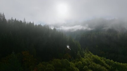 drone ascends from dirt patch above lewis river into dense fog of forest, pnw