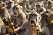 © Emanuel - Group of intoxicated monkeys exhibiting drunken behavior