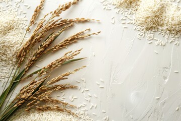 freshly harvested rice grains and stalks